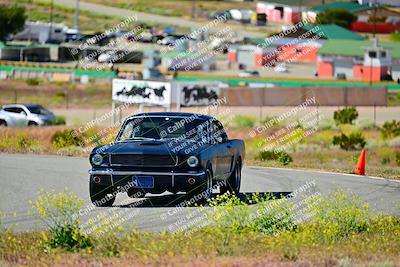 media/Apr-27-2024-LA Shelby Club (Sat) [[ca61902bd2]]/White Group/Session 1 (Turn 2)/